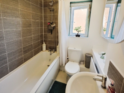 Picture 10